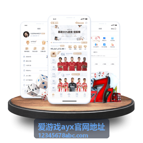 爱游戏ayx官网地址入口核验示意